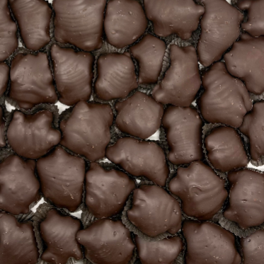 Pecan Critters