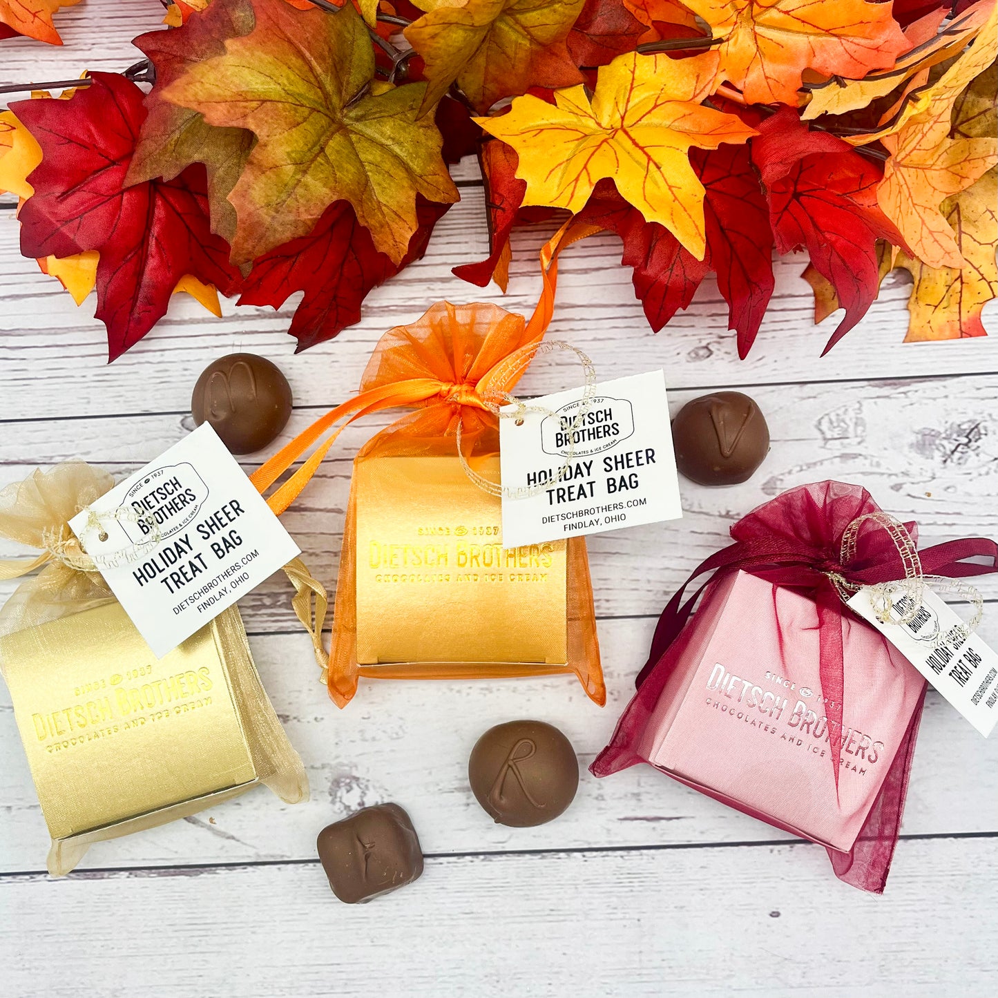 Holiday Sheer Treat Bag