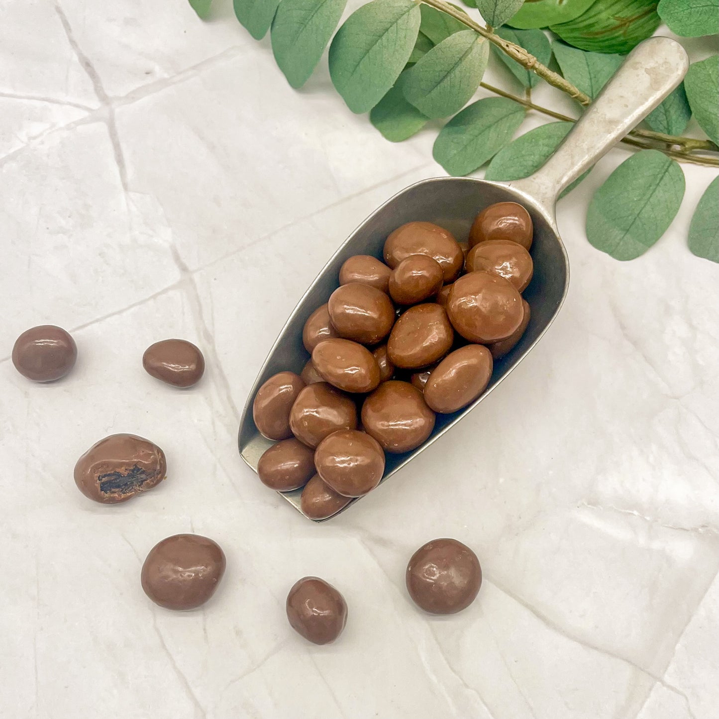 Milk Chocolate Covered Raisins