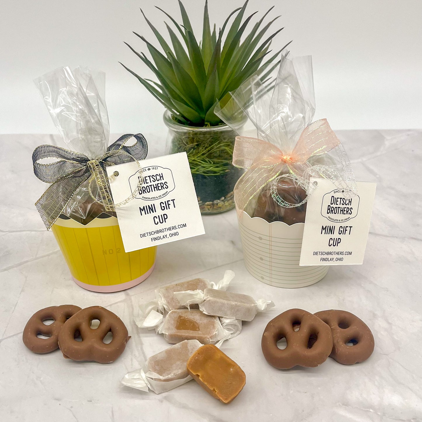 Mini Gift Cup