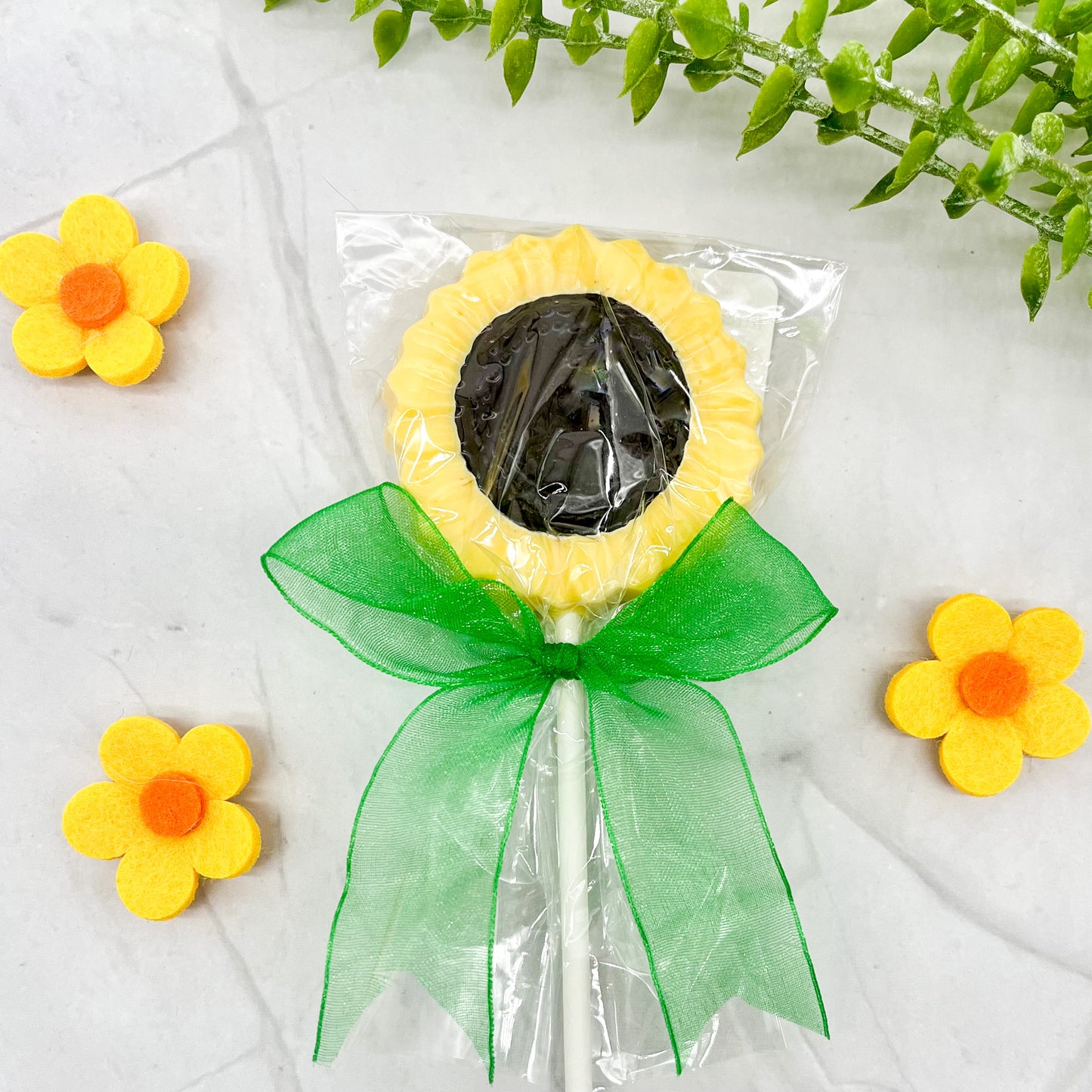 Yellow Sunflower Sucker