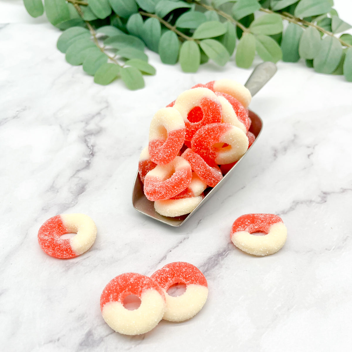 Gummi Watermelon Rings – Dietsch Brothers