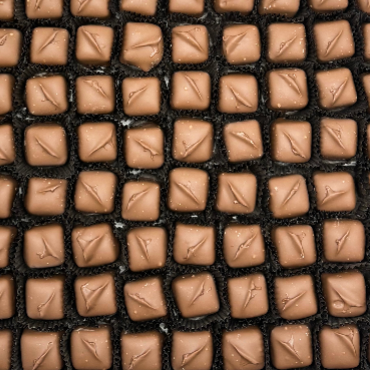 Chocolate Covered Caramels