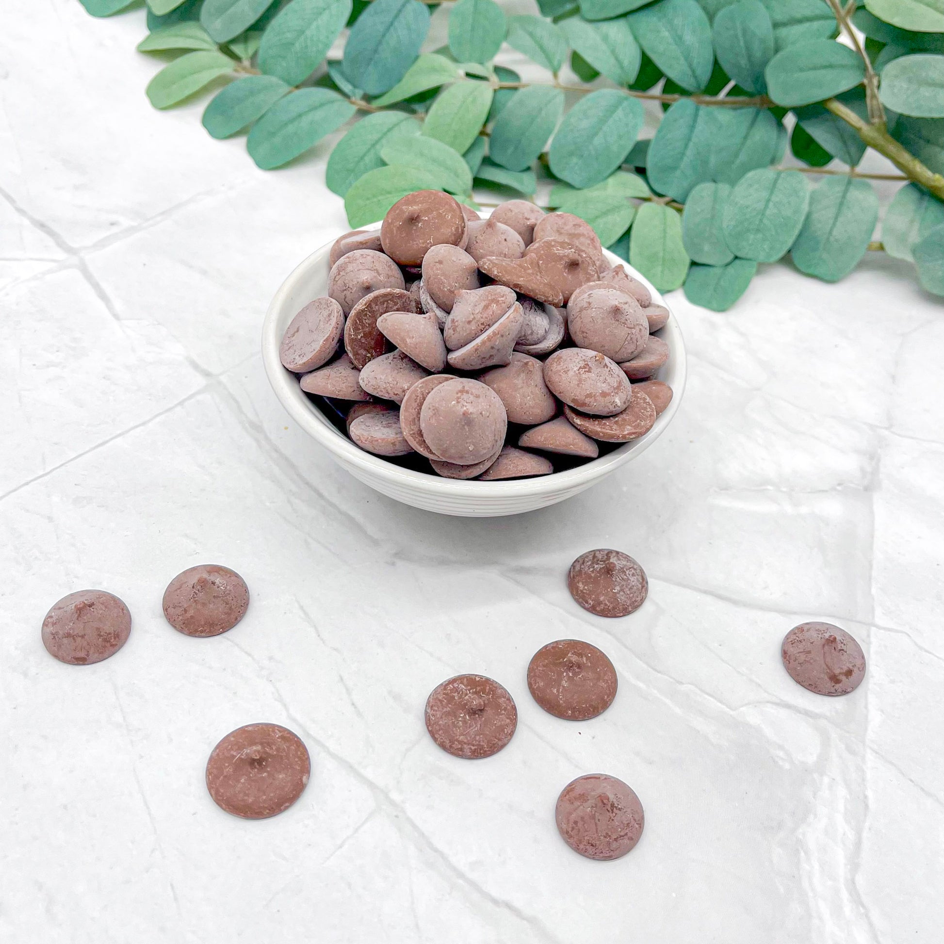 Bowl of chocolate discs with scattered buttons on a white surface with green leaves in the background